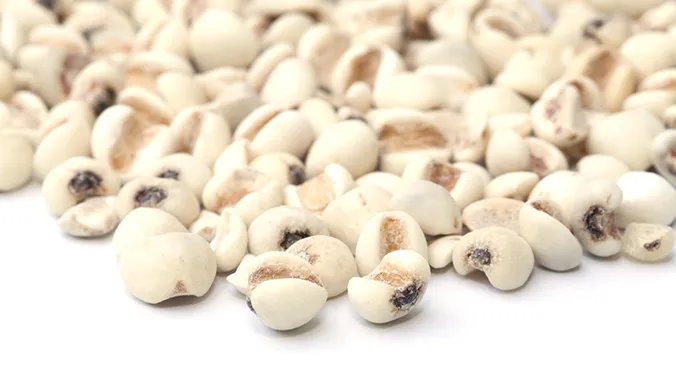 川贝的功效与作用有哪些