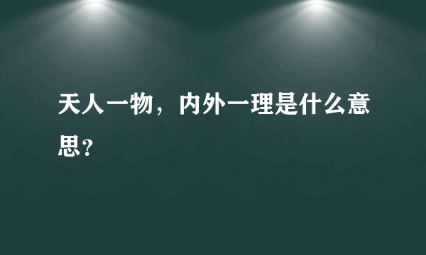 天人一物，内外一理是什么意思？
