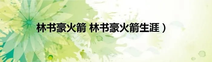 林书豪火箭 林书豪火箭生涯）