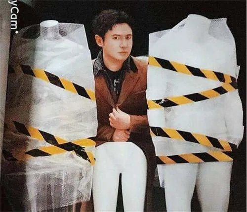 “硬照鬼才沈腾”是什么梗?