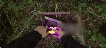 《森林之子》怎么生火？ 游戏中生火方法介绍