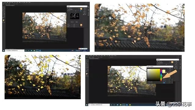 爬山虎巴在墙上如何摄影好看顺眼？