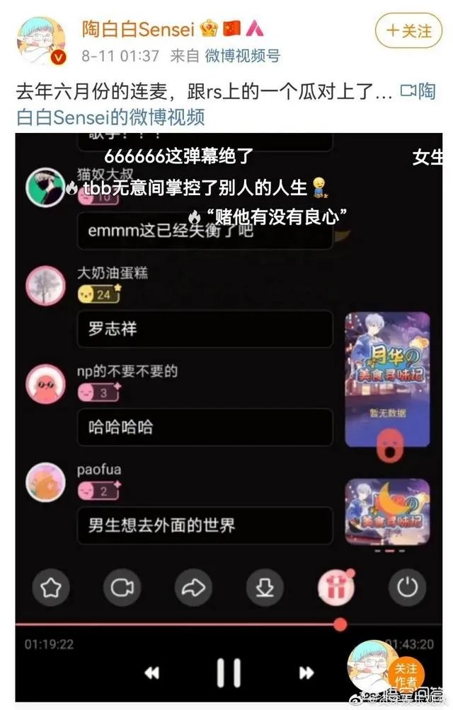 陶白白是什么梗？