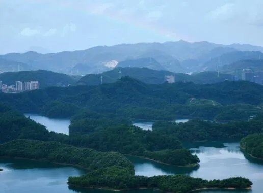 农夫山泉创始人是谁 农夫山泉创始人名字怎么念