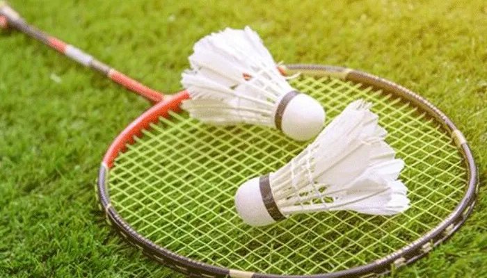 羽毛球场尺寸标准尺寸 羽毛球场尺寸标准尺寸是多少