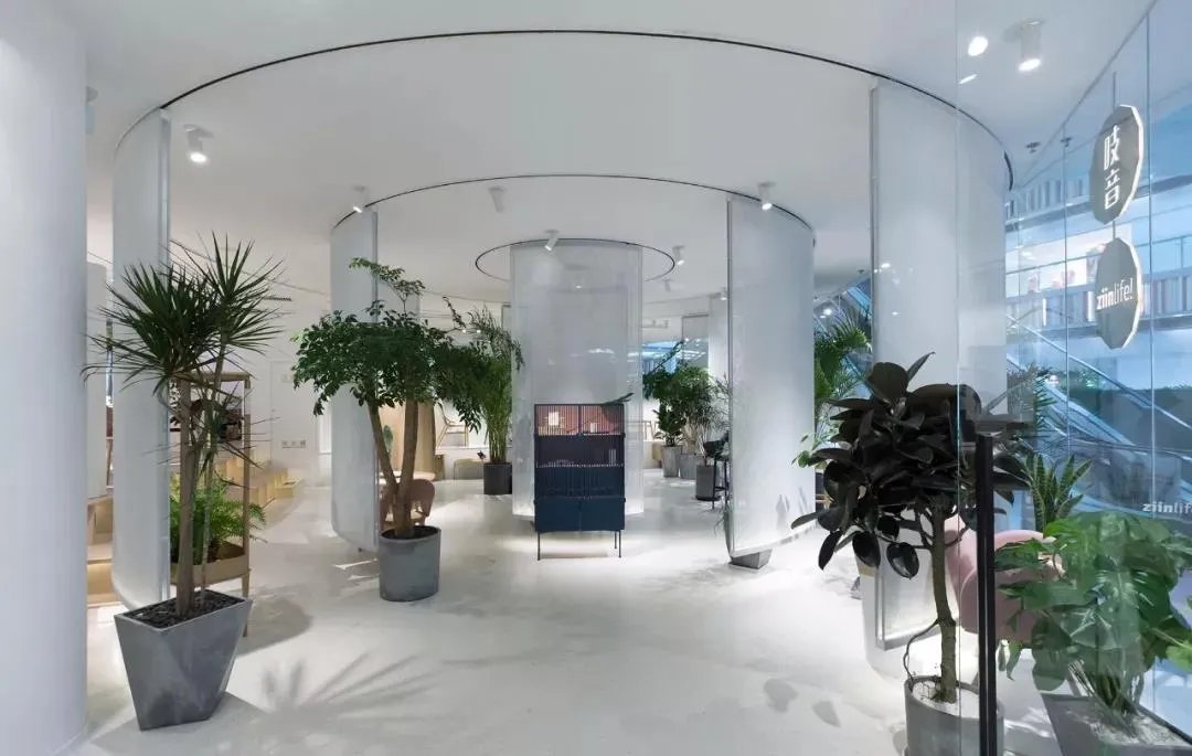 2018 年度回顾 | 吱音五周年的 5 个关键词,Give me five!