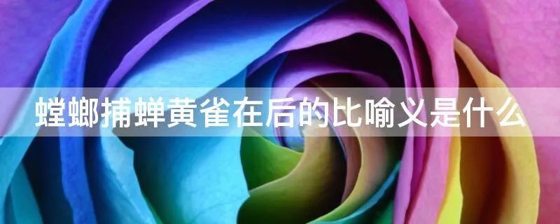 螳螂捕蝉黄雀在后的比喻义是什么