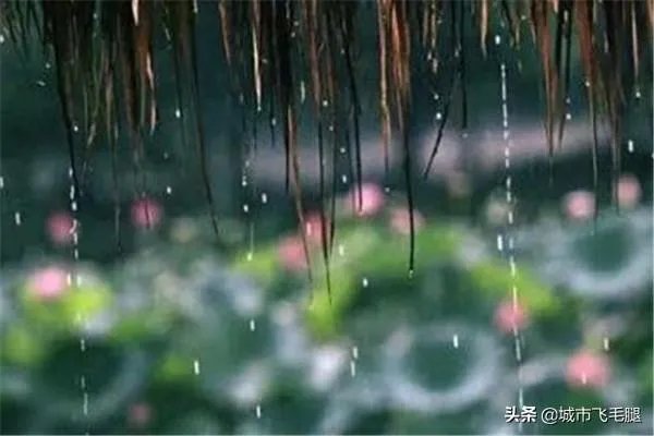 什么时候出梅雨季节2019年梅天起止时间？