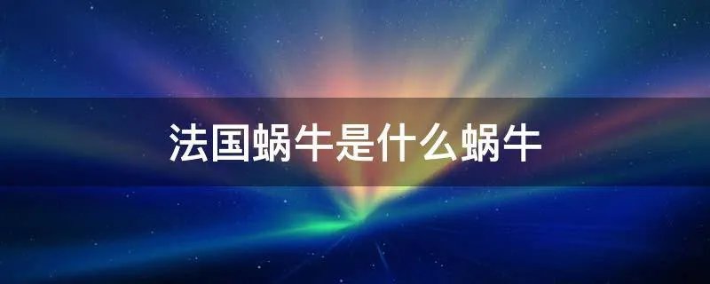 法国蜗牛是什么蜗牛