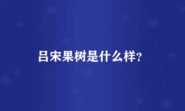 吕宋果树是什么样？
