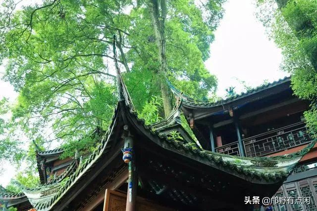 成都青城山好玩吗？