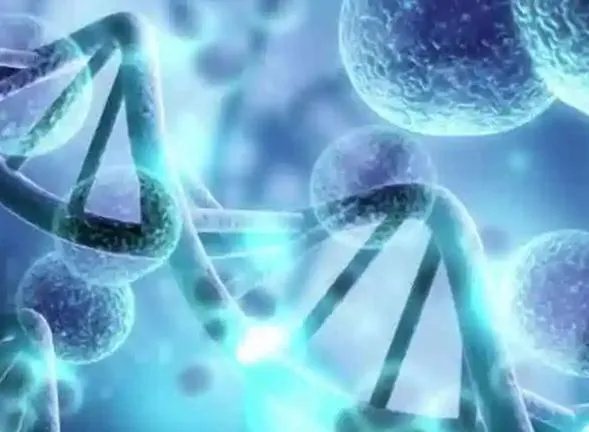 试管价格一览表-2023年湖北供卵试管男男收费标准，内附捐卵价格一览表！