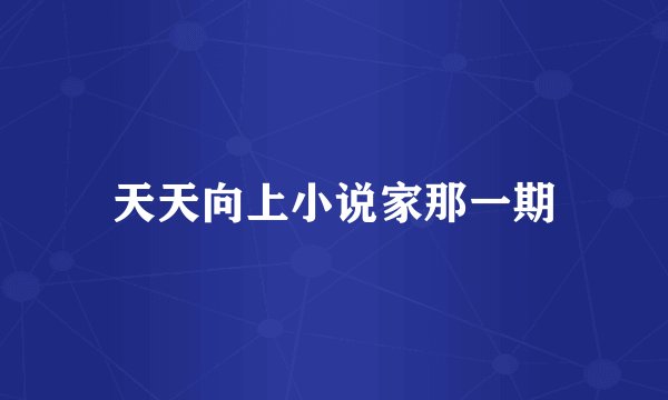 天天向上小说家那一期