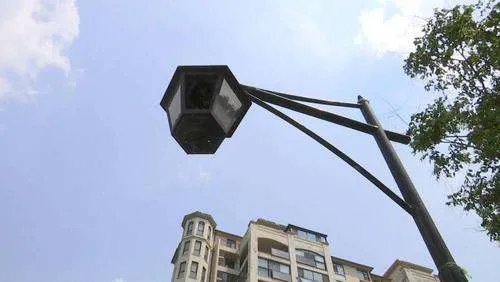 你如何看待上海宠物犬小区路灯杆旁撒尿触电死亡这件事?