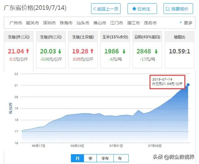 7月14日,10个省份的生猪价格突破了10元/斤的行情,这个行情能持续多久?