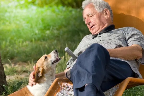 马云最后一天上班，退休后的你打算去干什么呢？