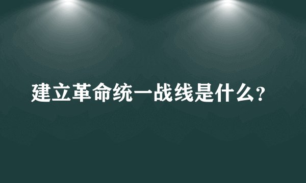 建立革命统一战线是什么？