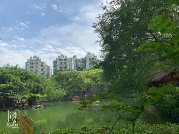 重庆的空气质量如何