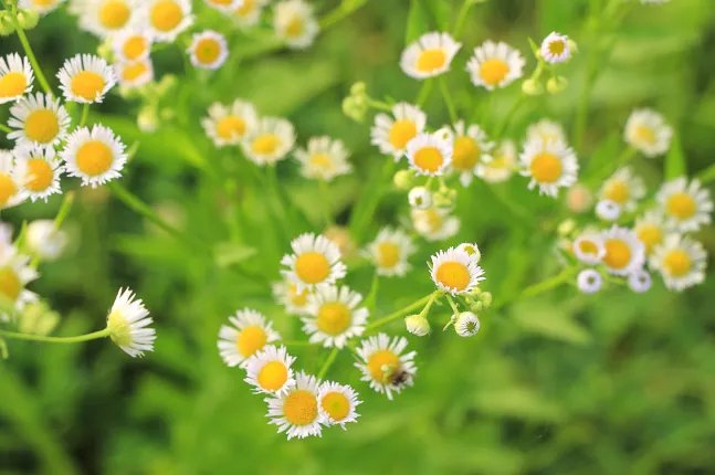 2021年什么时候打春 打春有什么禁忌和说法