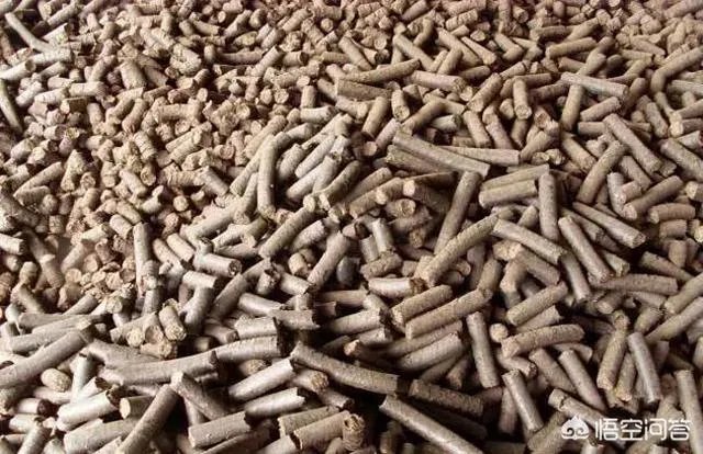 安徽猪饲料排名