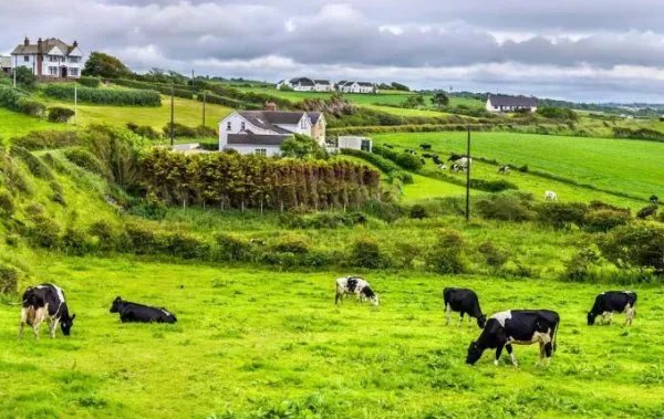 中国疫情为何对新西兰影响这么大？中国和新西兰的贸易总额究竟有多少？