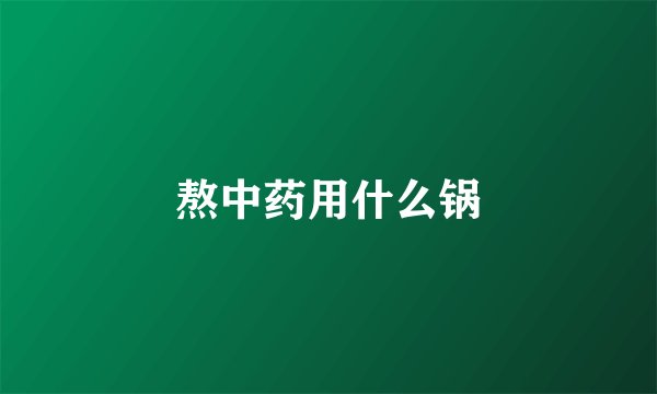 熬中药用什么锅