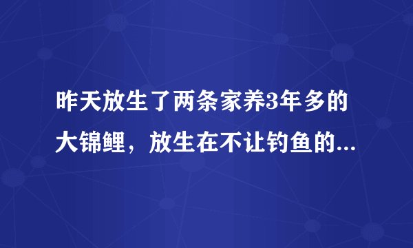 昨天放生了两条家养3年多的大锦鲤，放生在不让钓鱼的公园湖中，希望能顽强活下去。