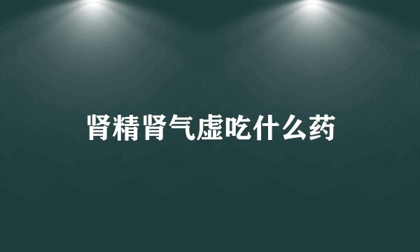 肾精肾气虚吃什么药
