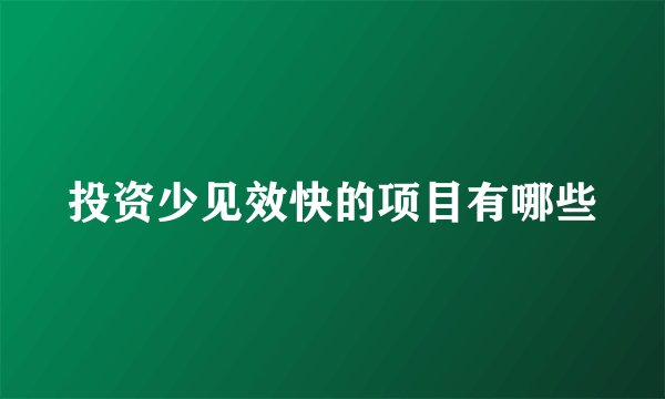 投资少见效快的项目有哪些