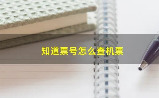 知道票号怎么查机票
