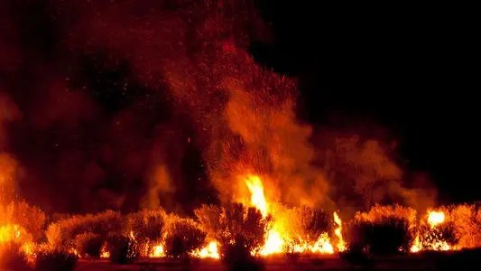 沧州一银行突发火灾疑似人为,起火的真实原因究竟是什么?