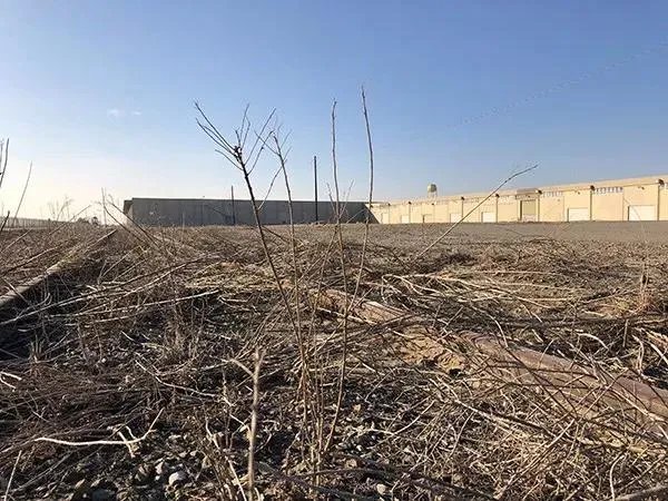 法拉第未来完成超10亿美元融资，贾跃亭任CEO，大家怎么看？