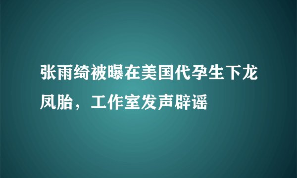 张雨绮被曝在美国代孕生下龙凤胎，工作室发声辟谣