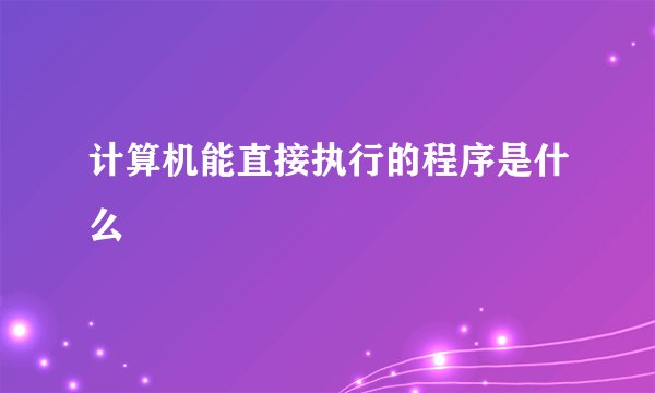 计算机能直接执行的程序是什么