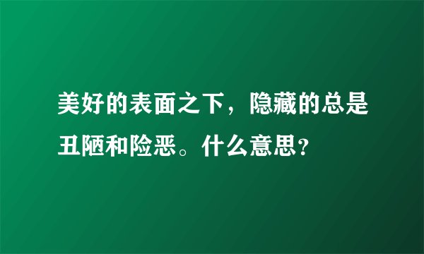 美好的表面之下，隐藏的总是丑陋和险恶。什么意思？