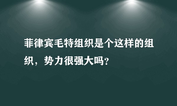 菲律宾毛特组织是个这样的组织，势力很强大吗？