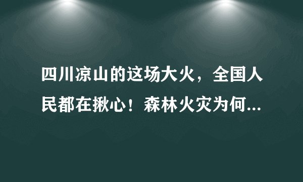 四川凉山的这场大火，全国人民都在揪心！森林火灾为何这么可怕？
