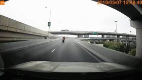 摩托骑手高架坠亡怎么回事:视频始末这到底是个什么梗