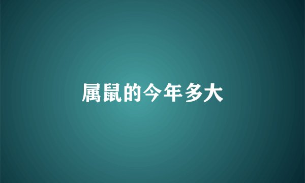 属鼠的今年多大
