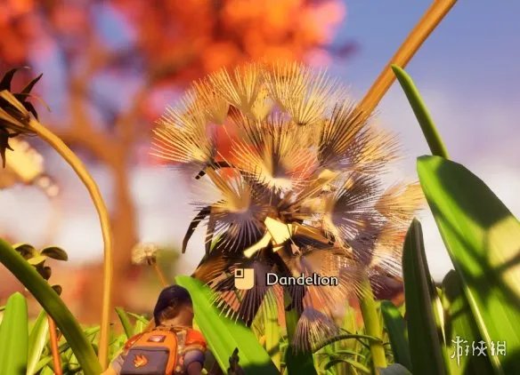 《禁闭求生》原材料有什么 grounded原材料获得方法介绍