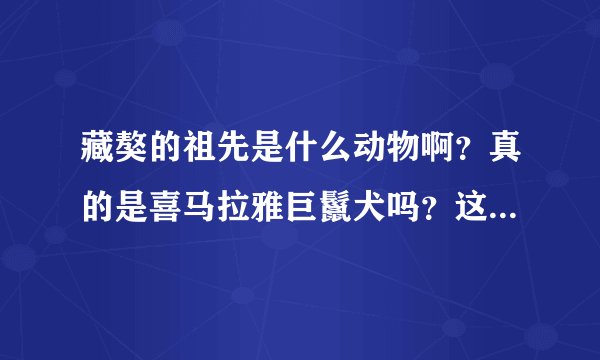 藏獒的祖先是什么动物啊？真的是喜马拉雅巨鬣犬吗？这是什么动物啊？给资料