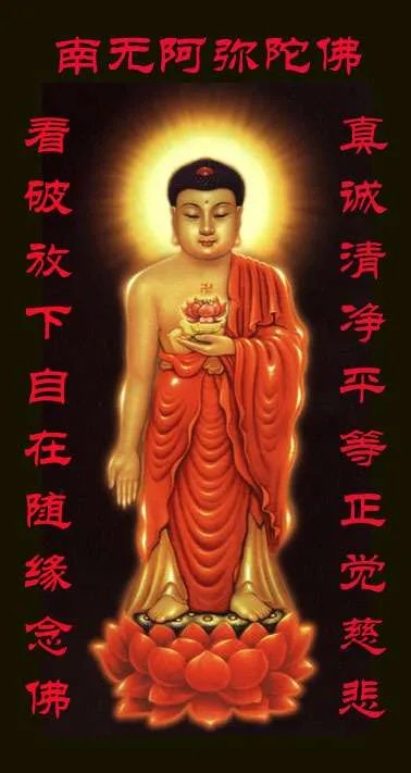 念南无阿弥陀佛好还是药师琉璃光如来好