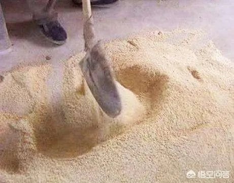 安徽猪饲料排名