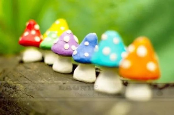 慕安安宗政御(豪门)小说七爷甜妻放肆宠无广告阅读