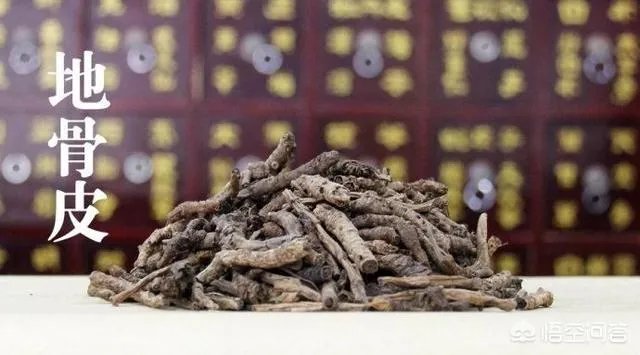 什么叫地骨皮？