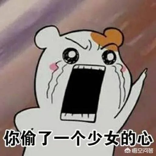 如何看待雷佳音、李光洁、郭京飞组成的tf老boys组合？