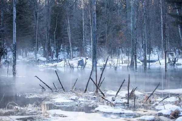 下过大雪过后为什么显得非常寂静?