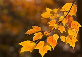 如何在家里进行减压自我催眠？