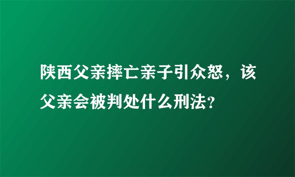 陕西父亲摔亡亲子引众怒，该父亲会被判处什么刑法？