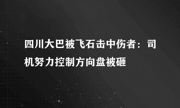 四川大巴被飞石击中伤者：司机努力控制方向盘被砸